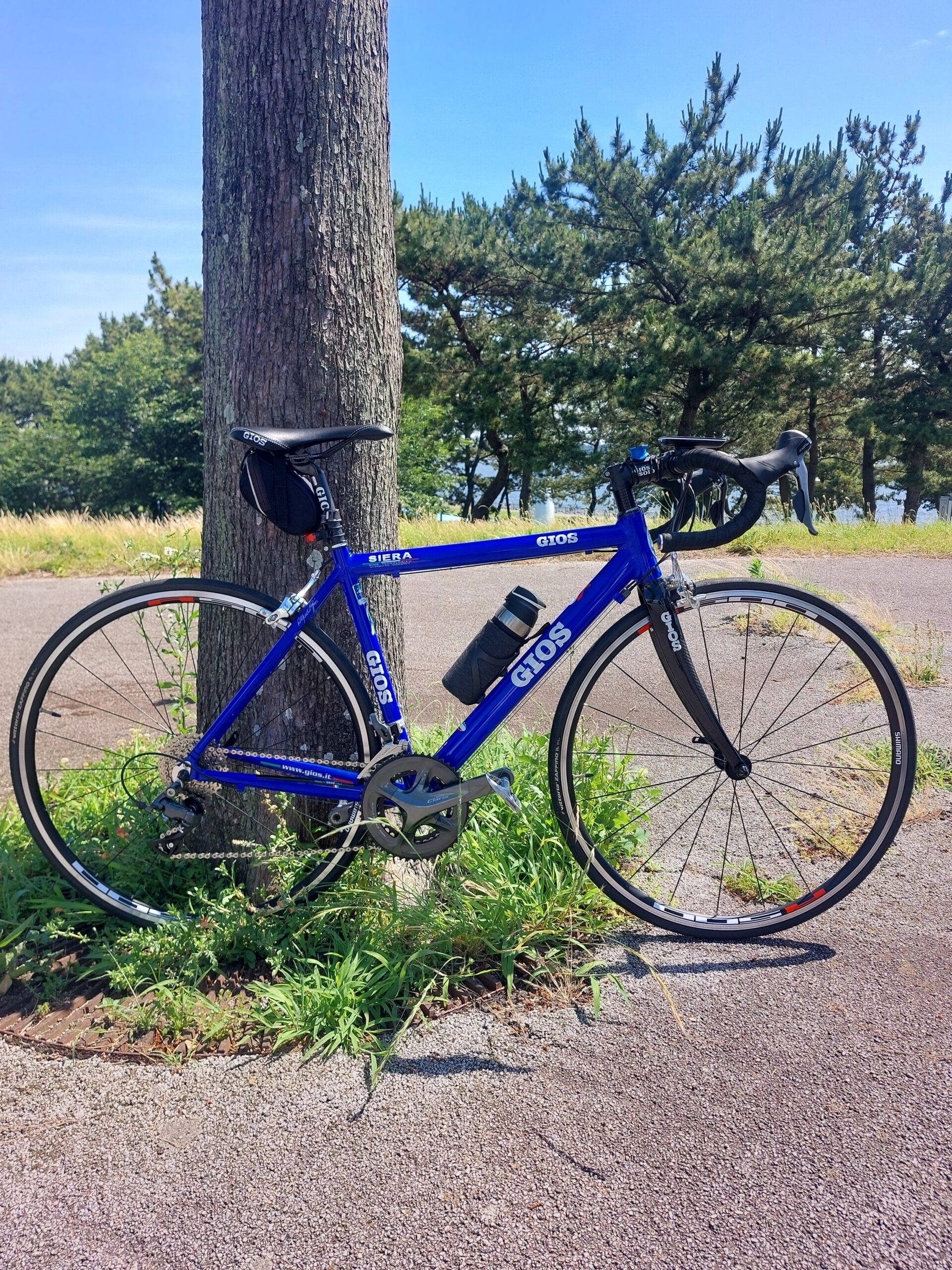GIOS SIERA 2014